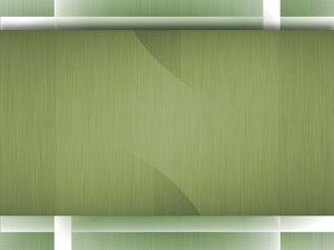 如何让投资组合融入日常工作流